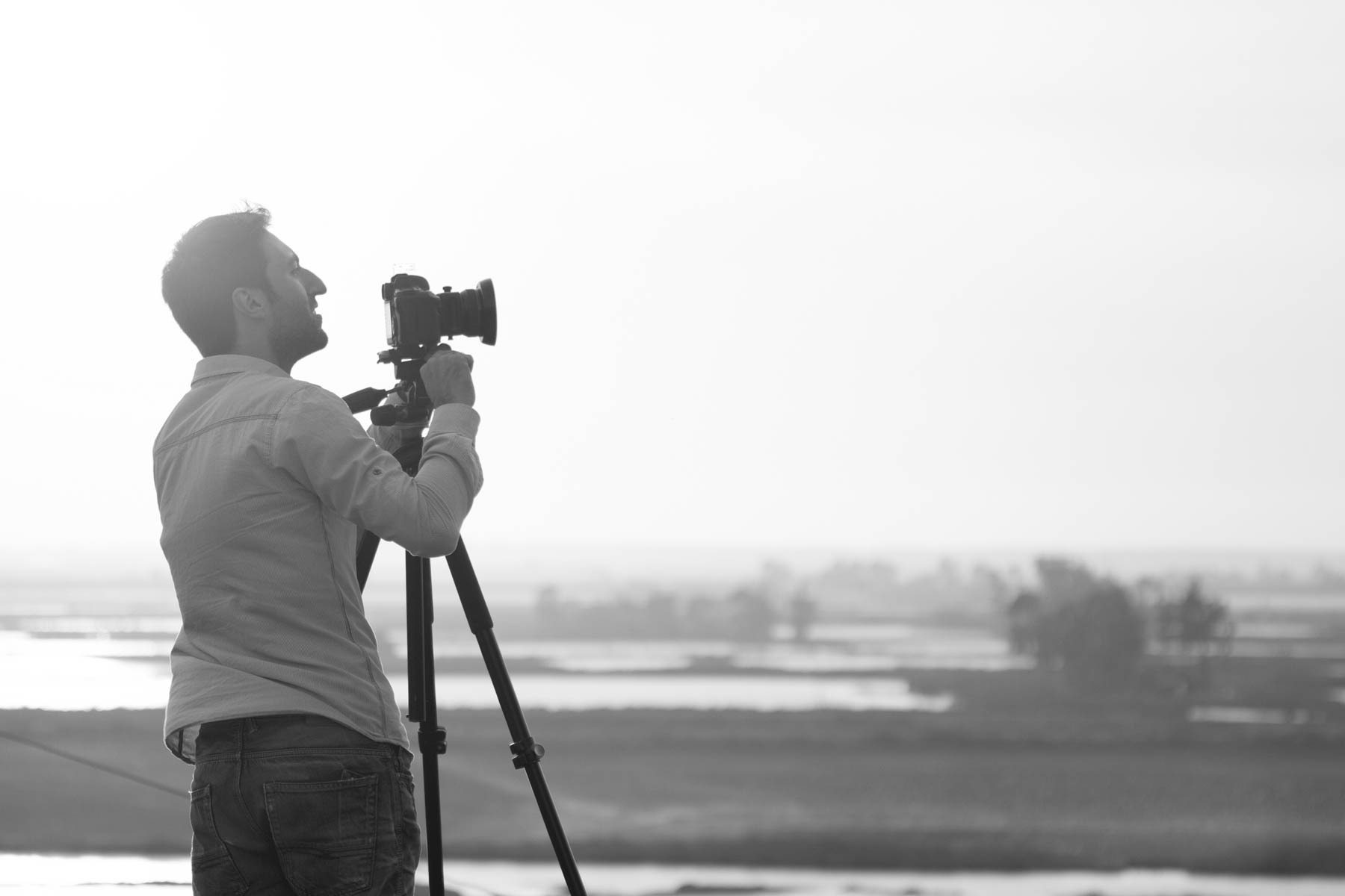 Ivo Tavares Studio