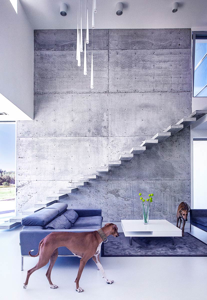 Eco House