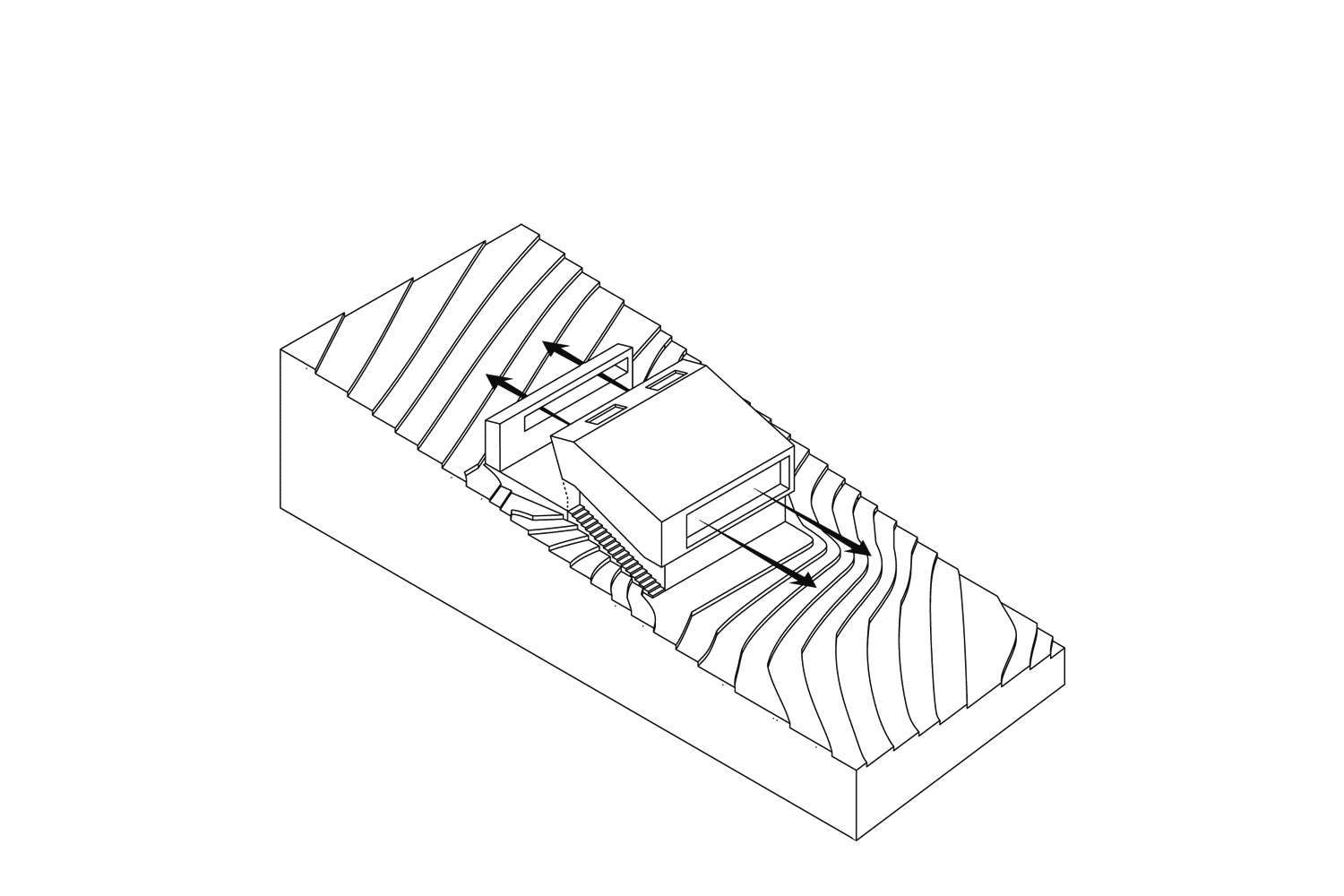 Haus P