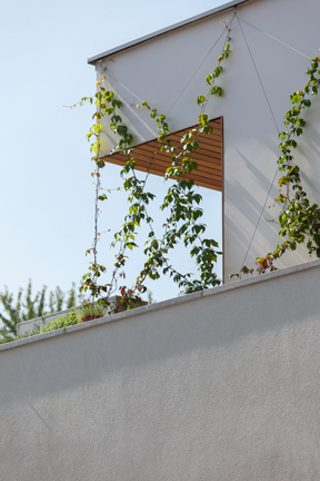 pocket size villa 