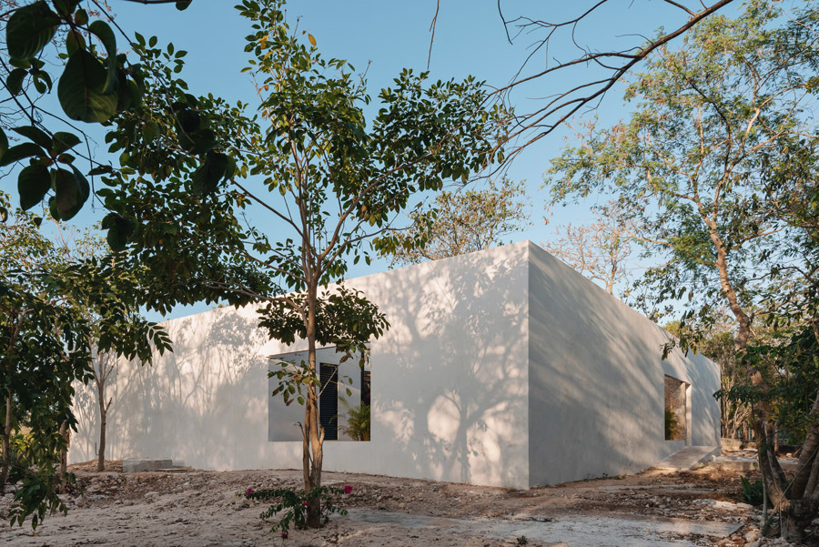 Reticular Villa