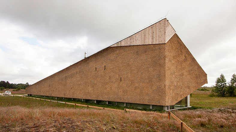 The Dune House
