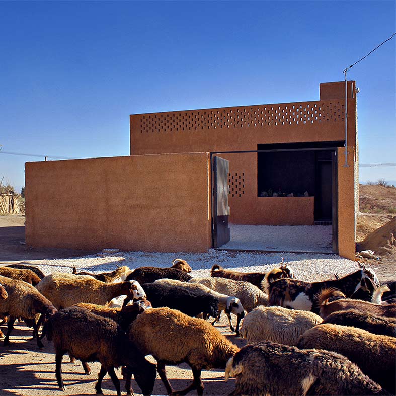 Through Gardens House