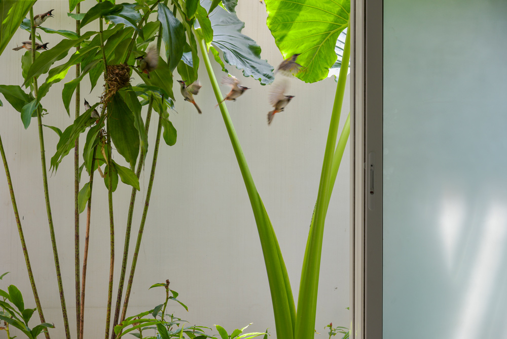 Villa That Rains Light